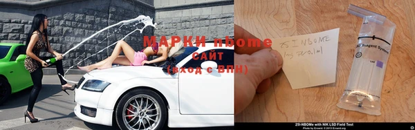 стаф Магадан