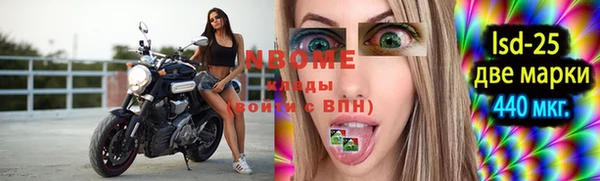 ПСИЛОЦИБИНОВЫЕ ГРИБЫ Магас