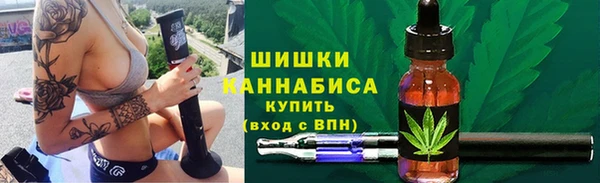 ПСИЛОЦИБИНОВЫЕ ГРИБЫ Магас