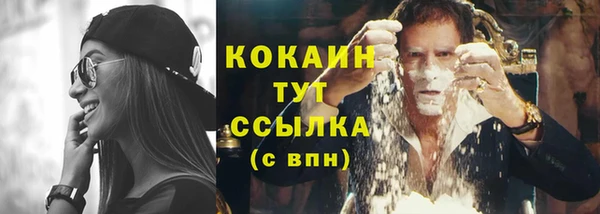 ПСИЛОЦИБИНОВЫЕ ГРИБЫ Магас