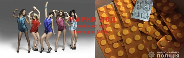 ПСИЛОЦИБИНОВЫЕ ГРИБЫ Магас