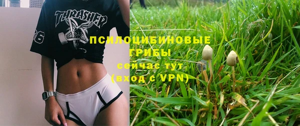 ПСИЛОЦИБИНОВЫЕ ГРИБЫ Магас