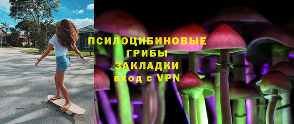 ПСИЛОЦИБИНОВЫЕ ГРИБЫ Магас