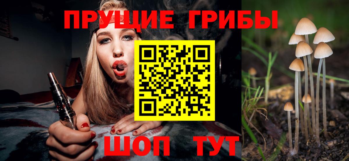 Псилоцибиновые грибы мухоморы  закладка  Дятьково  Вход с VPN 
