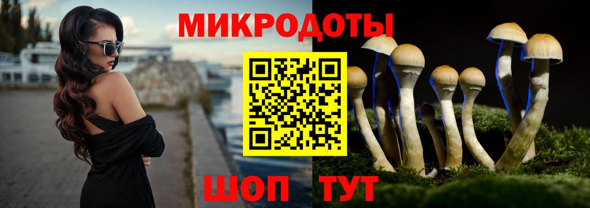 Галлюциногенные грибы мухоморы Дятьково